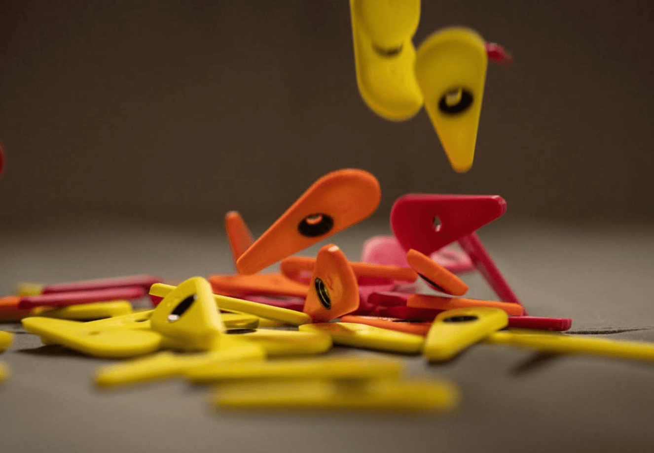 Yellow, orange, and red route tags scattered mid-fall